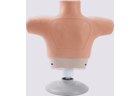 Breast Cancer Palpation and Visual Diagnosis Training Model - PC-GYE003.02
