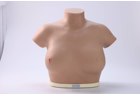 Breast Cancer Inspection and Palpation Model - PC-GYE003.03