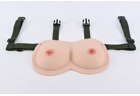 Wearable Breast Examination Model - PC-GYE004