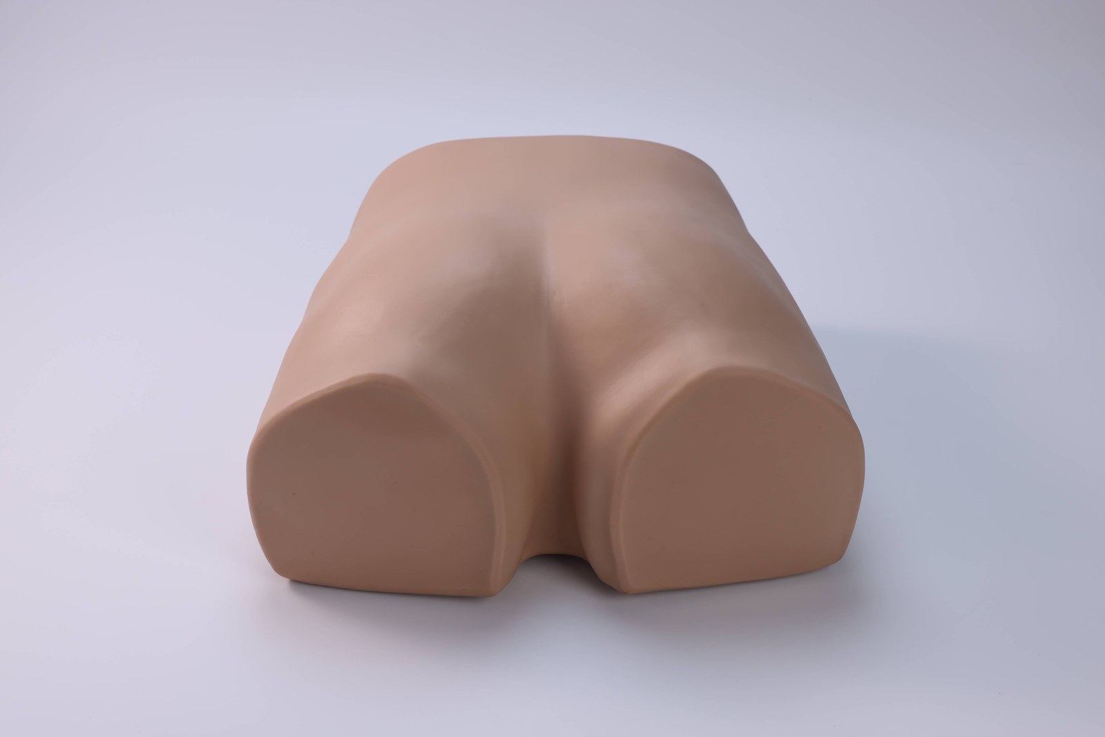 PSIS Bone Marrow Aspiration Model - PC-MEE009.03