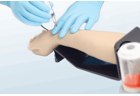 Radial Artery Puncture Training Model - PC-MEE014