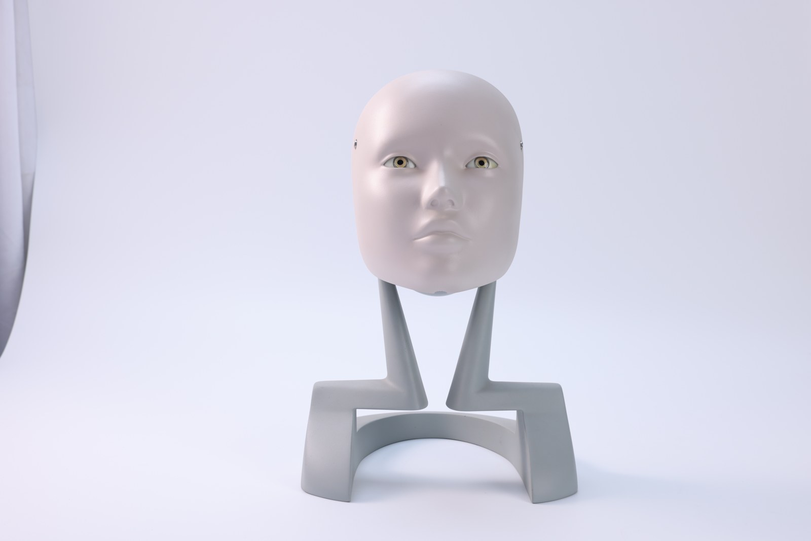 Retinal Disease Examination Model - PC-MEE017.01