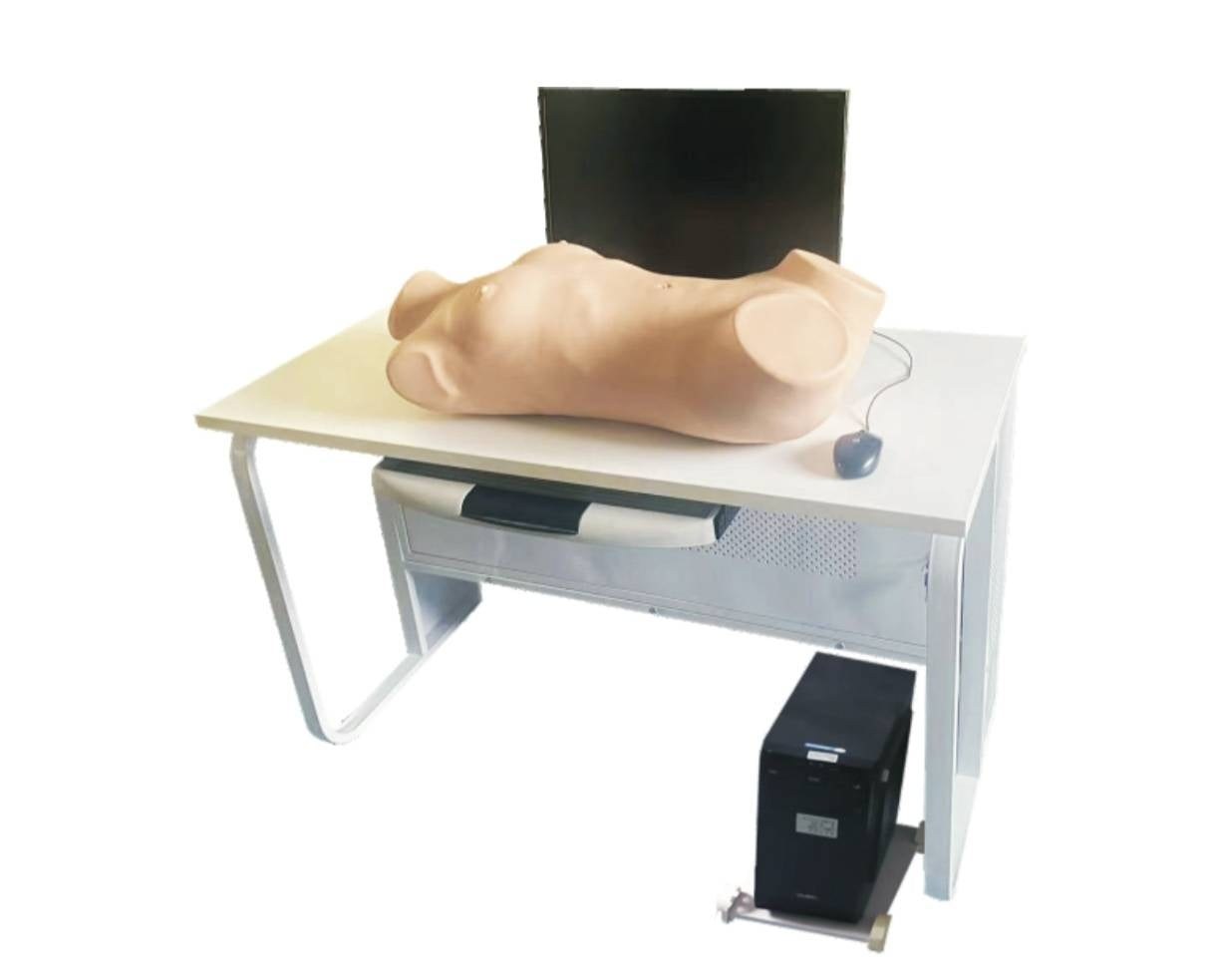 Abdominal Examination Training Kit - PC-MEE021.01