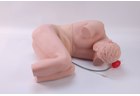 Advanced Lumbar Puncture Simulator - PC-MEE038.01