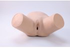 Female Catheterization Trainer - PC-NUE004.01