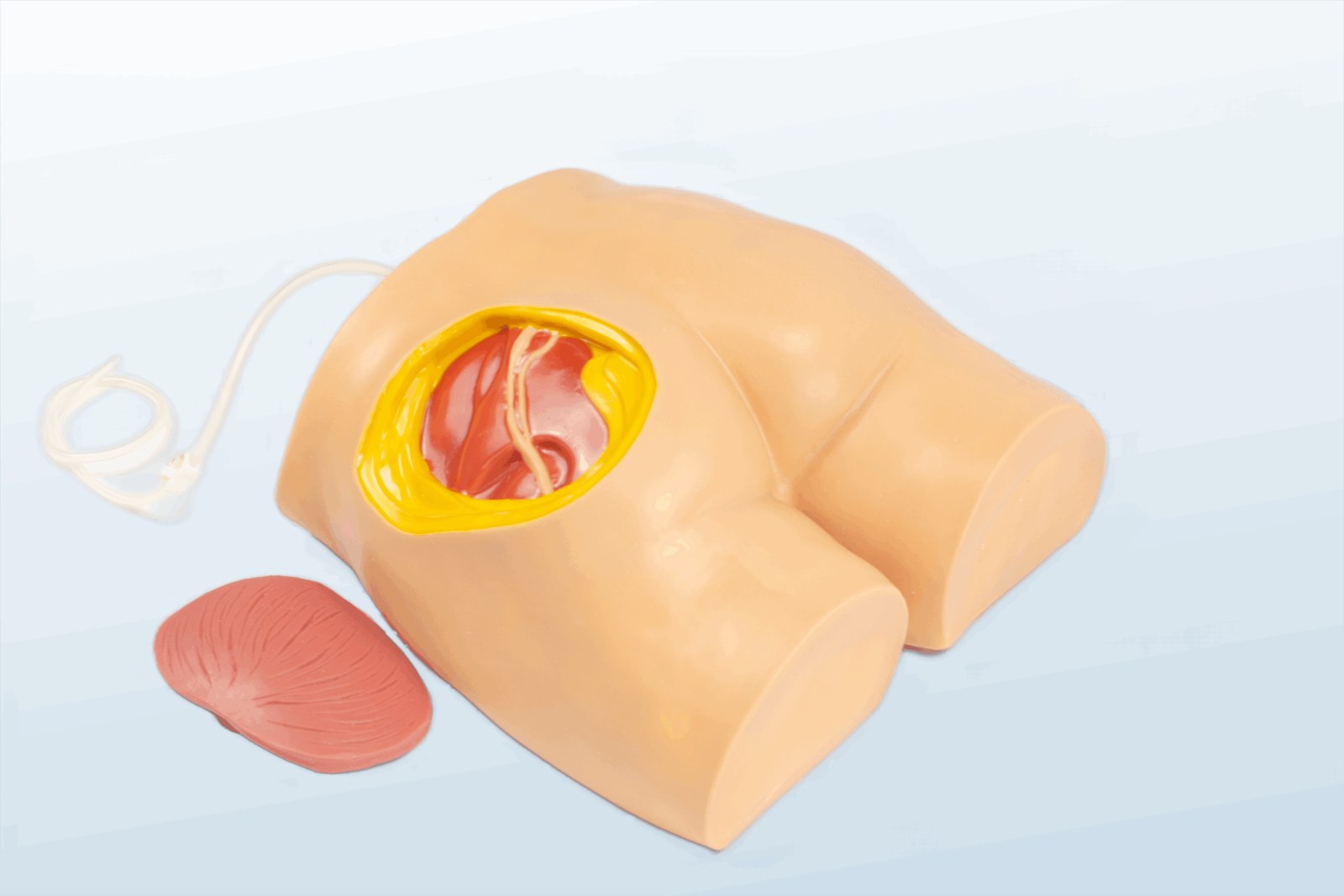 Buttock Injection Model - PC-NUE007.03