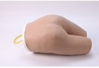 Enema Training Model - PC-NUE015.01