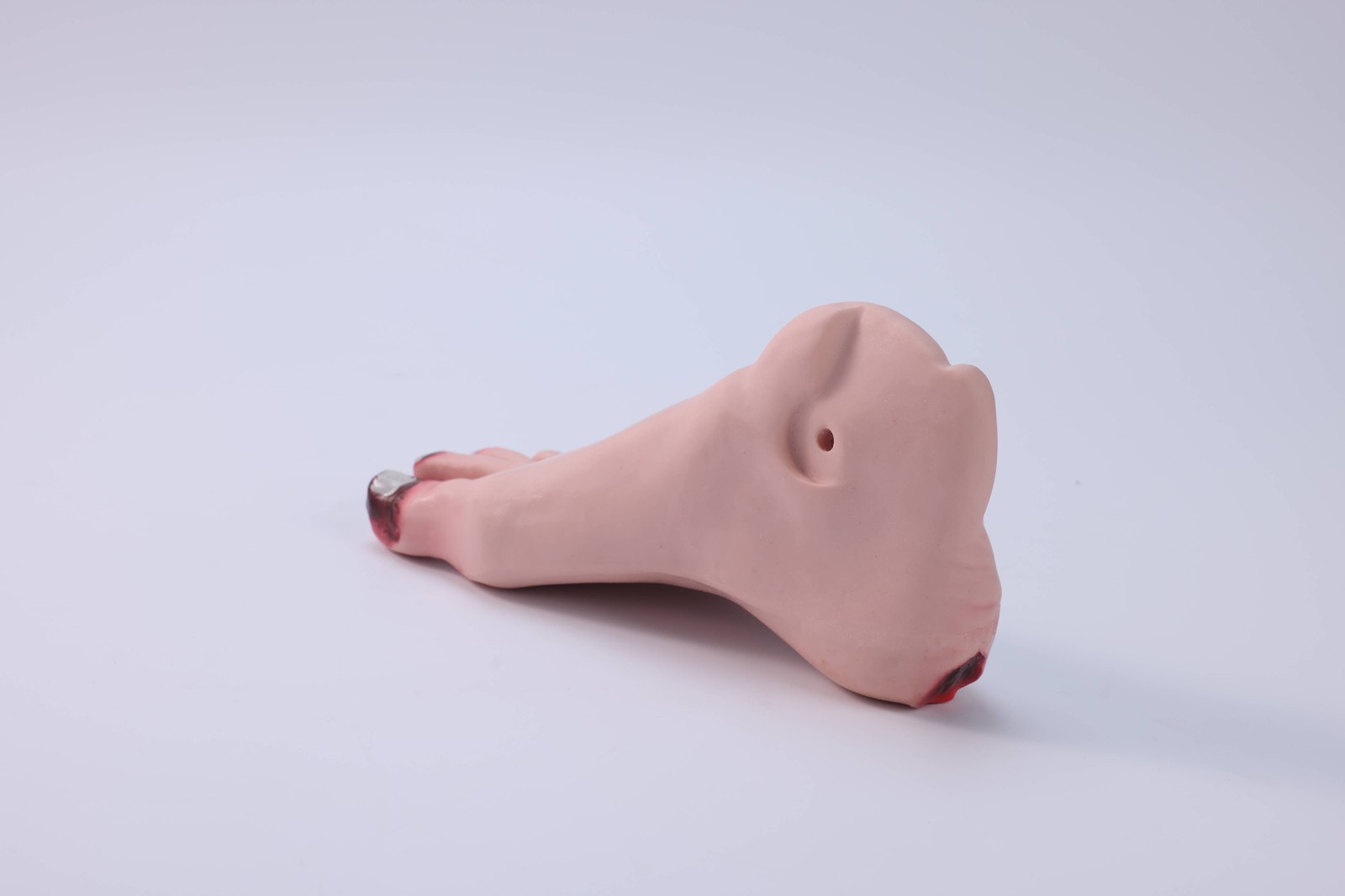 Diabetic Foot Care Model - PC-NUE020.01
