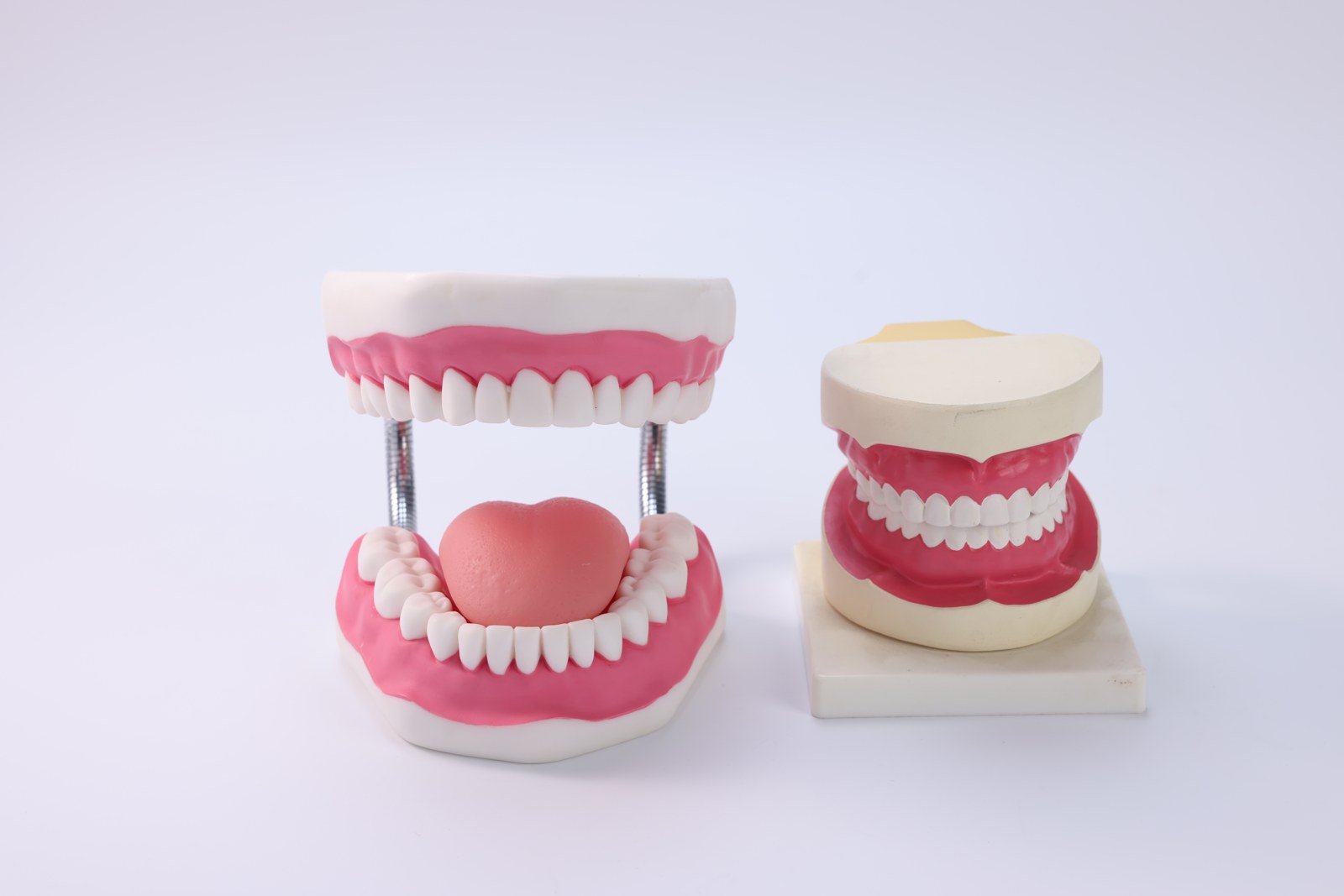 Dental Care Model - PC-NUE022.04