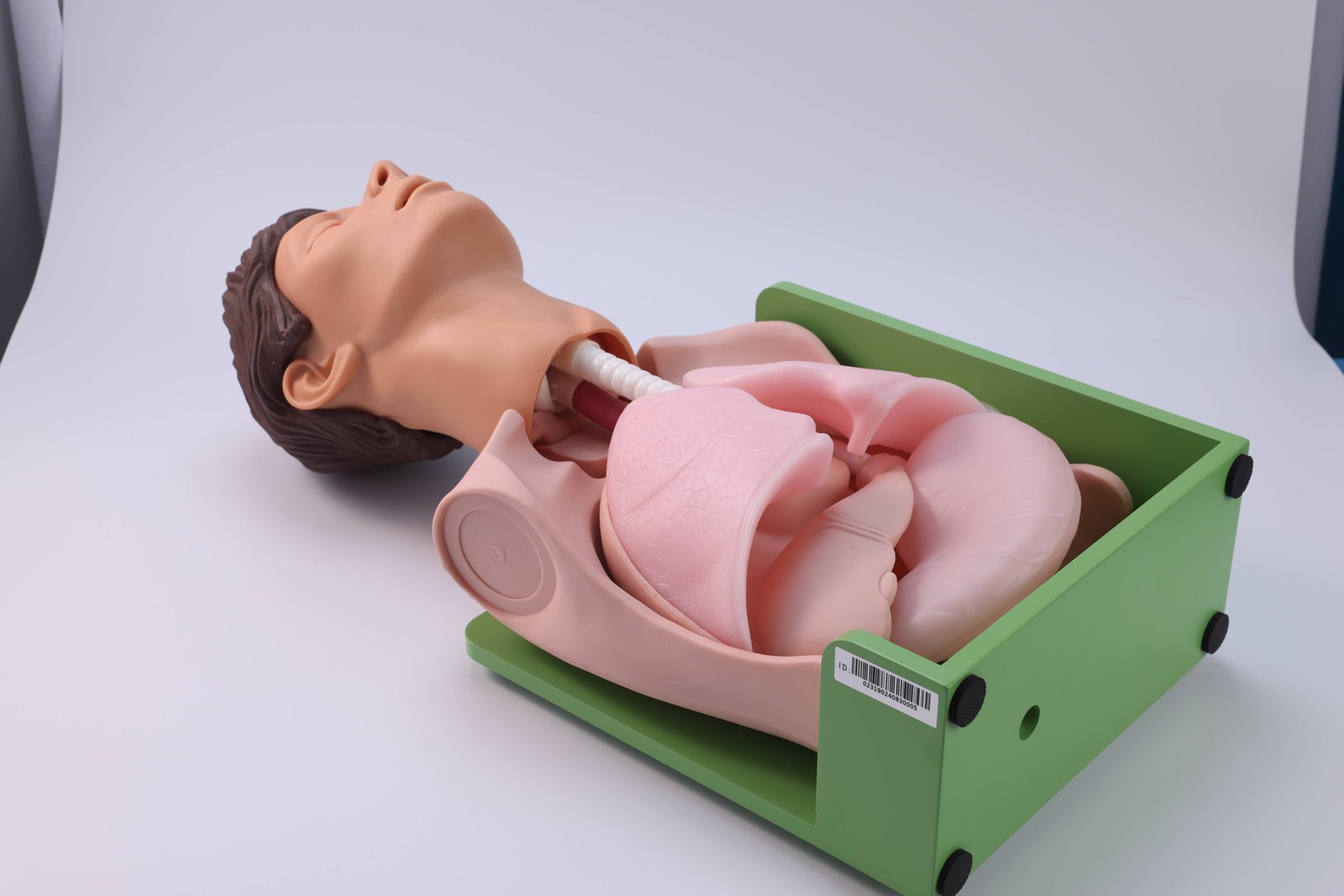 Gastric Lavage and Gastrointestinal Decompression Simulator - PC-NUE024.03