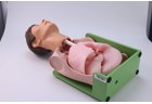 Gastric Lavage and Gastrointestinal Decompression Simulator - PC-NUE024.03