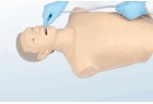 Gastric Lavage Training Model - PC-NUE024