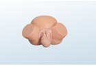 Obstetric Manikin - PC-OBE008