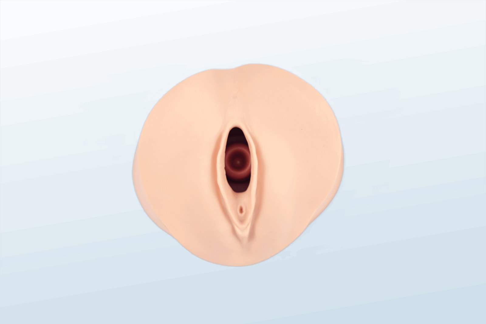 Cervical Dilatation/Effacement Model - PC-OBE009.01
