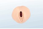 Cervical Dilatation/Effacement Model - PC-OBE009.01
