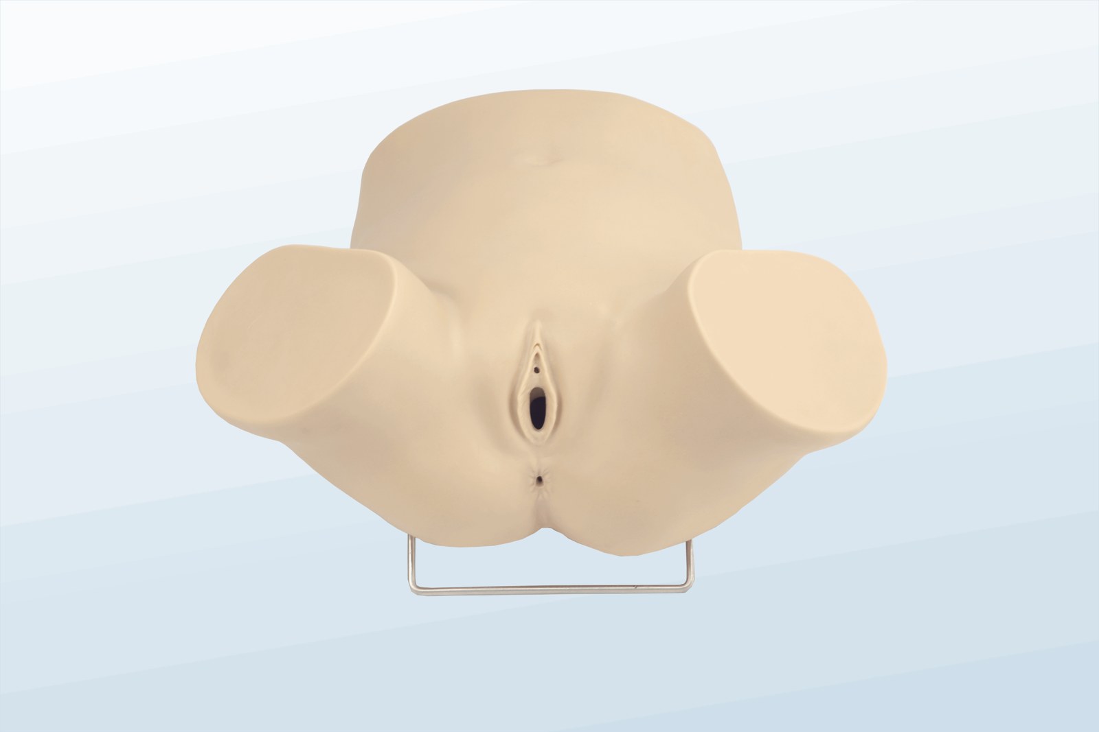 Diagnostic Curettage Training Model - PC-OBE012.01