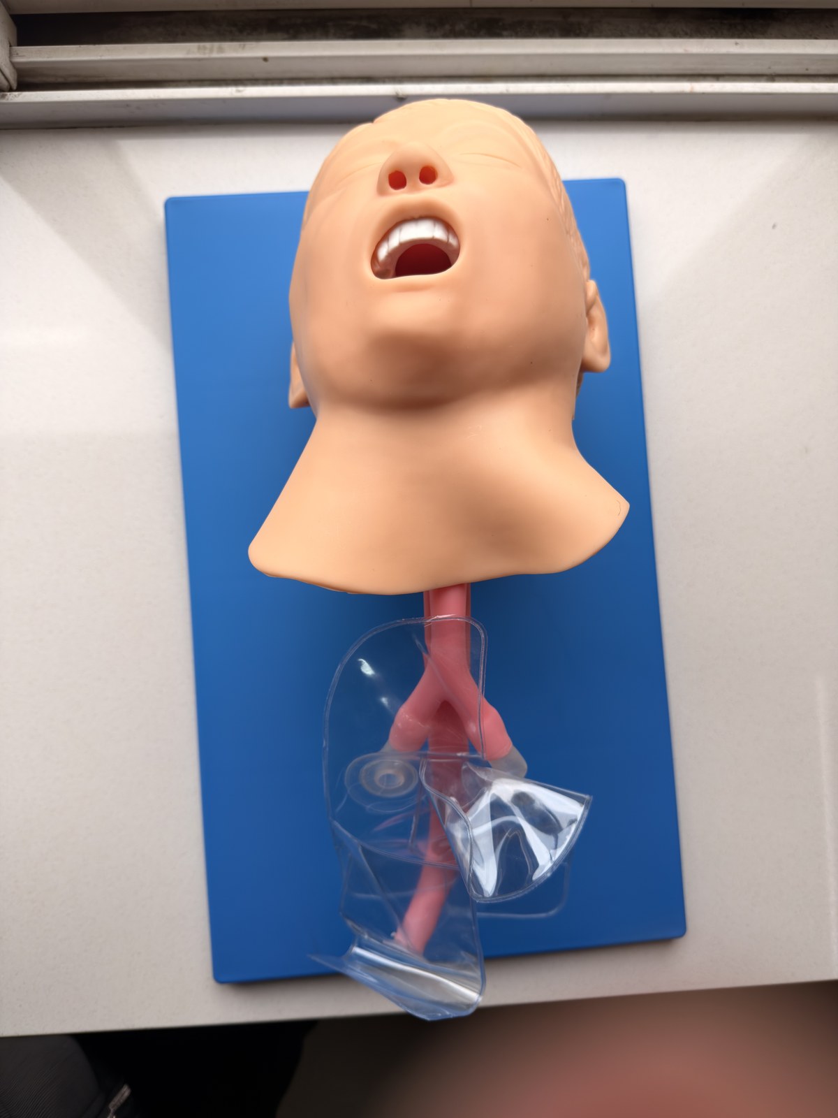 Pediatric Intubation Simulator - PC-PEE010