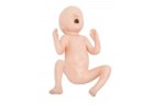 Premature Infant Model - PC-PEE024.01