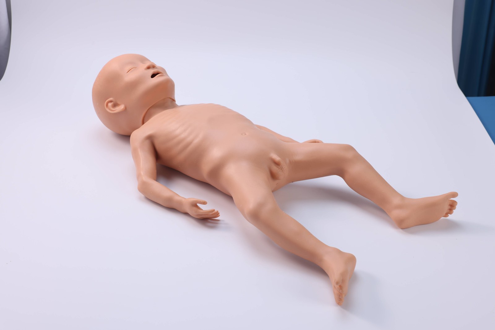 Infant Malnutrition Model - PC-PEE041.01