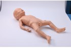 Infant Malnutrition Model - PC-PEE041.01