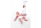 Neonatal Puncture Model - PC-PEE051