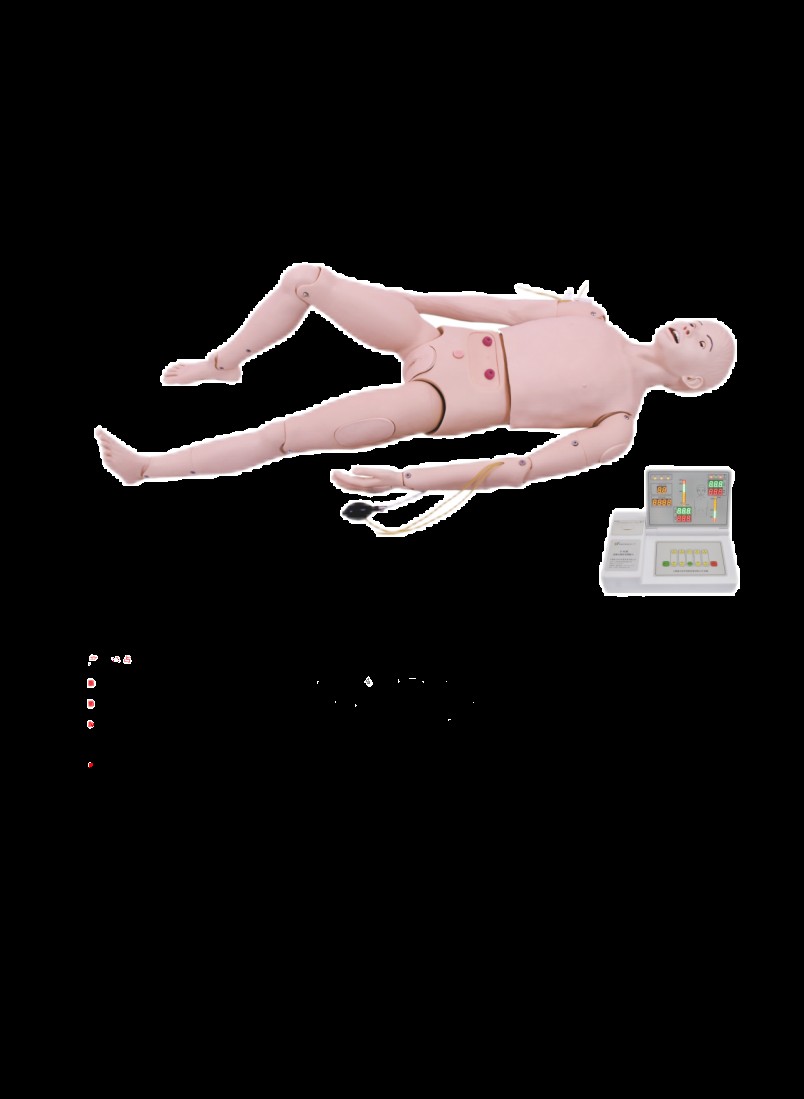 Nursing and Prehospital Care Patient Simulator - PC-PSE017.04