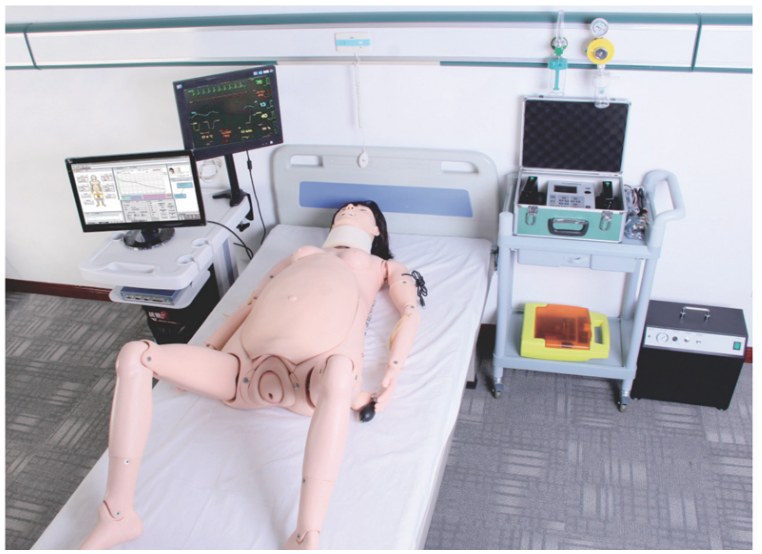 Advanced Birthing Simulator - PC-PSE018