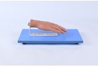 Nail Avulsion Training Hand - PC-SUE039