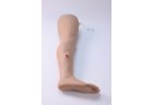 Lower Limb Hemostasis Training Model( Electric) - PC-TCE019.02