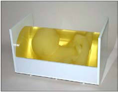 3D Full Term Baby Ultrasound Phantom ATS 3DFB