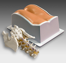 Lumbar Training Phantom CIRS 034
