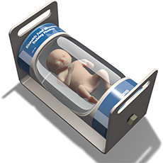 Fetal Ultrasound Biometrics Training Phantom CIRS 068
