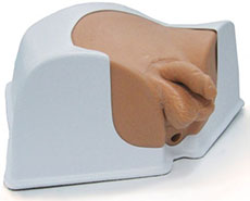 Multi-Modality Pelvic Phantom CIRS 048A Ultrasound/MRI/CT