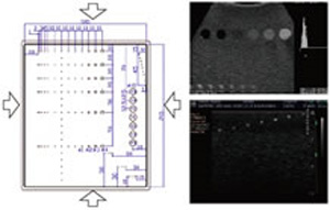 Multipurpose Ultrasound Phantom Kyoto Kagaku N-365 Ultrasound Image and Target Diagram