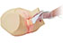 Scrotal Ultrasound Phantom - Kyoto Kagaku - US-11