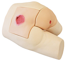 Pressure Sores Simulator - MW63 - Kyoto Kagaku