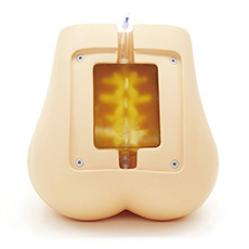 Ultrasound Compatible Lumbar Puncture / Epidural Simulator - M43E - Kyoto Kagaku